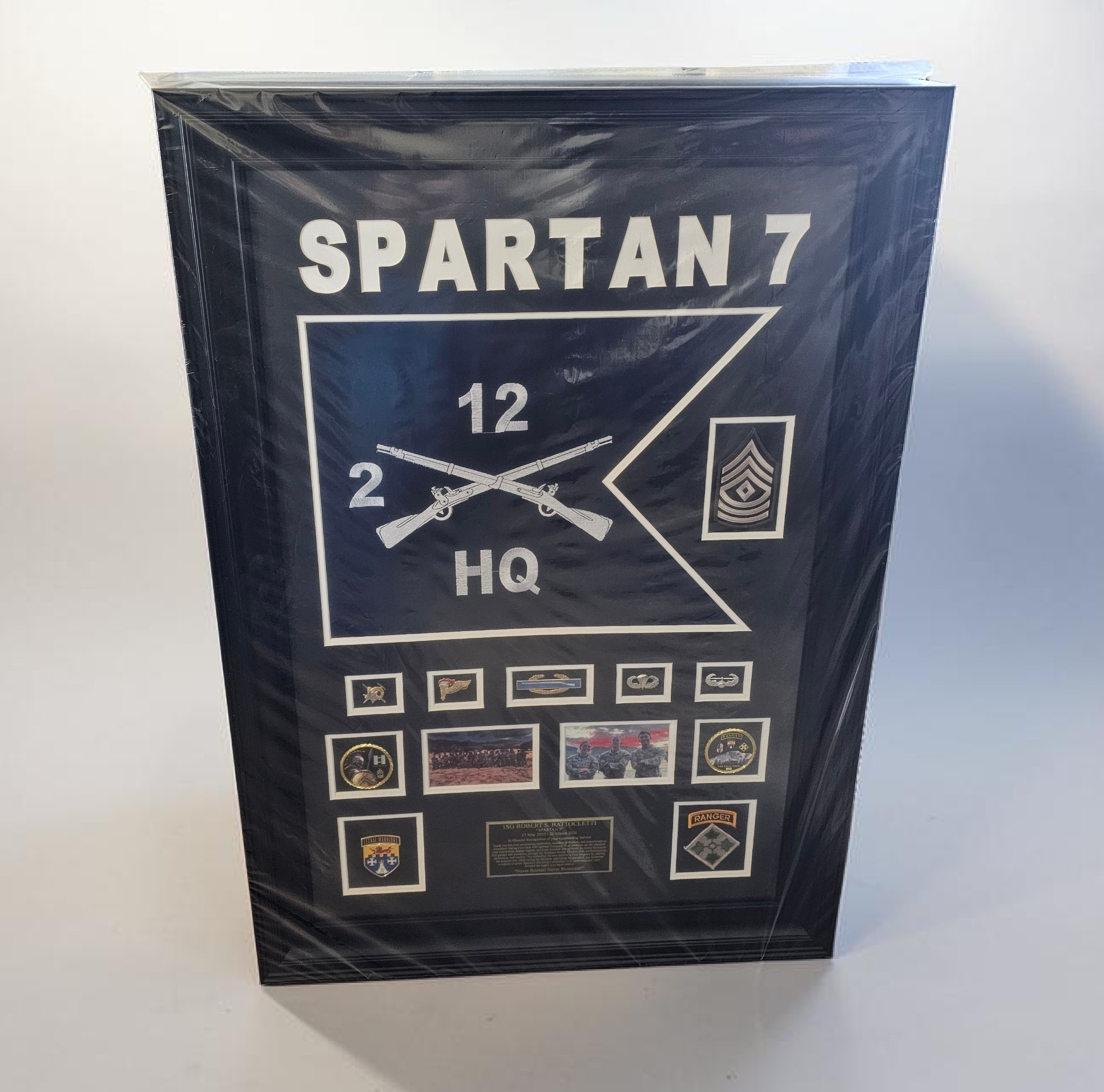 Framed Plaque with insignia on a white wall